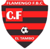 Flamengo FBC (W)